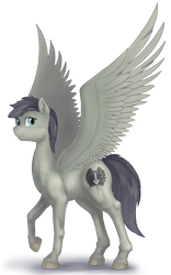 Size: 2000x3200 | Tagged: safe, artist:stinkehund, oc, oc only, species:pegasus, species:pony, fluffy, male, realistic, simple background, transparent background