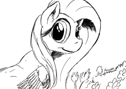 Size: 1169x826 | Tagged: safe, artist:darkhestur, character:fluttershy, female, looking at you, monochrome, sketch, solo