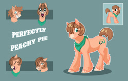 Size: 3537x2235 | Tagged: safe, artist:vindhov, oc, oc only, oc:perfectly peachy pie, parent:pinkie pie, parent:trouble shoes, parents:trouble pie, species:earth pony, species:pony, female, mare, neckerchief, offspring, simple background, solo, teal background, unshorn fetlocks