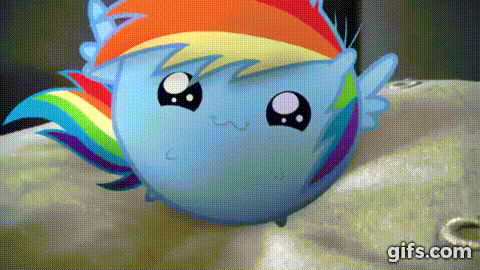 Size: 480x270 | Tagged: safe, artist:bastbrushie, character:rainbow dash, species:pegasus, species:pony, chubbie, adorkable, animated, blushing, comb, cute, dashabetes, dork, eyes closed, hnnng, irl, open mouth, photo, ponies in real life, timotei, weapons-grade cute, youtube link