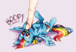 Size: 959x659 | Tagged: safe, artist:buttersprinkle, character:rainbow dash, species:human, species:pegasus, species:pony, boop, cute, dashabetes, female, finger, fluffy, hand, mare, micro, on back, shiny, size difference, smoldash, spread out hair, spread wings, tiny, tiny ponies, traditional art, wings