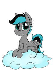 Size: 826x1169 | Tagged: safe, artist:darkhestur, oc, oc only, oc:gusty clouds, species:pegasus, species:pony, cloud, freckles, simple background, solo