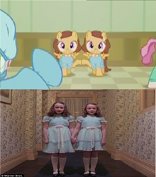 Size: 1024x1162 | Tagged: safe, artist:brandonale, episode:where the apple lies, g4, my little pony: friendship is magic, irl, jpg artifacts, photo, the grady girls, the shining, twins