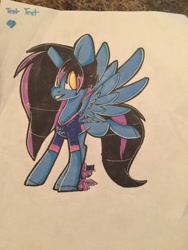 Size: 1024x1365 | Tagged: safe, artist:umiimou, character:twilight sparkle, character:twilight sparkle (alicorn), oc, species:alicorn, species:pegasus, species:pony, clothing, plushie, shirt, traditional art
