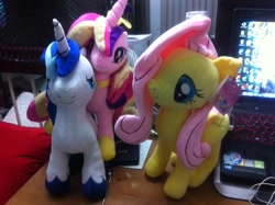 Size: 960x717 | Tagged: safe, artist:onlyfactory, photographer:aaronbobo, character:fluttershy, character:princess cadance, character:rainbow dash, character:shining armor, :3, bootleg, irl, my little pony logo, photo, plushie, size comparison