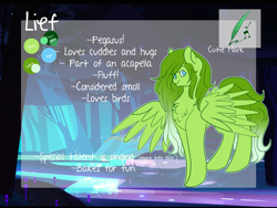 Size: 2000x1500 | Tagged: safe, artist:liefsong, oc, oc only, oc:lief, species:pegasus, species:pony, reference sheet, solo