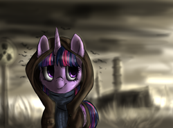 Size: 1358x999 | Tagged: safe, artist:not-ordinary-pony, character:twilight sparkle, character:twilight sparkle (alicorn), species:alicorn, species:pony, cheek fluff, chernobyl, clothing, crossover, ear fluff, female, hood, looking back, radiation sign, s.t.a.l.k.e.r., smiling, solo