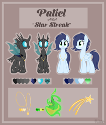 Size: 2800x3311 | Tagged: safe, artist:kellythedrawinguni, oc, oc only, oc:patiel, oc:star streak, species:changeling, species:pegasus, species:pony, female, high res, jewelry, mare, necklace, reference sheet