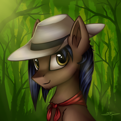 Size: 1000x1000 | Tagged: safe, artist:setharu, oc, oc only, oc:arny nilson, species:pegasus, species:pony, bandana, clothing, hat, looking at you, male, signature, smiling, solo, stallion