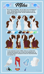 Size: 3356x5707 | Tagged: safe, artist:kellythedrawinguni, oc, oc only, oc:miles, species:alicorn, species:owl, species:pony, absurd resolution, alicorn oc, blanket, blue eyes, broach, cape, chest fluff, clothing, crest, easter egg, eyepatch, green eyes, height difference, impossibly large chest fluff, magic, magic aura, male, multiple variants, pet, reference sheet, size chart, size comparison, solo