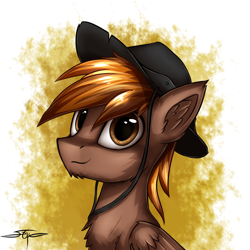 Size: 1000x1000 | Tagged: safe, artist:setharu, oc, oc only, oc:calamity, species:pegasus, species:pony, fallout equestria, bust, chest fluff, clothing, ear fluff, hat, looking at you, male, portrait, signature, smiling, solo, stallion