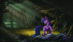 Size: 8640x5040 | Tagged: safe, artist:auroriia, character:twilight sparkle, character:twilight sparkle (unicorn), species:pony, species:unicorn, absurd file size, absurd resolution, crepuscular rays, female, forest, glade, grass, hoof boots, leaves, looking back, mare, raised hoof, rock, scenery, solo, sunlight, tree, water