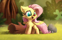 Size: 3333x2164 | Tagged: safe, artist:eto ya, character:fluttershy, species:pegasus, species:pony, cheek fluff, chest fluff, colored pupils, cute, ear fluff, explicit source, eyes on the prize, female, floppy ears, fluffy, forest, grass, insect on nose, ladybug, log, mare, open mouth, rock, shyabetes, small, smiling, solo, tree, weapons-grade cute, wing fluff
