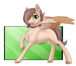 Size: 1233x1076 | Tagged: safe, artist:mythpony, oc, oc only, oc:nikko cho, species:pegasus, species:pony, colored wings, female, mare, multicolored wings, raised hoof, solo