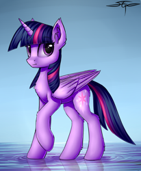 Size: 892x1080 | Tagged: safe, artist:setharu, character:twilight sparkle, character:twilight sparkle (alicorn), species:alicorn, species:pony, chest fluff, ear fluff, female, looking at you, mare, raised hoof, solo