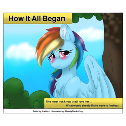 Size: 1000x1000 | Tagged: safe, artist:melodytheartpony, character:rainbow dash, character:twilight sparkle, comic:how it all began, ship:twidash, blushing, comic, crying, female, lesbian, shipping, writer:cwillis13