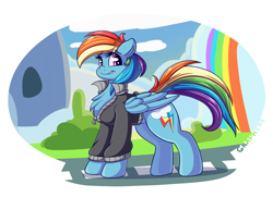 Size: 4088x2956 | Tagged: safe, artist:graphene, character:rainbow dash, species:pegasus, species:pony, absurd resolution, chest fluff, clothing, female, jacket, looking back, mare, rainbow waterfall, smiling, solo