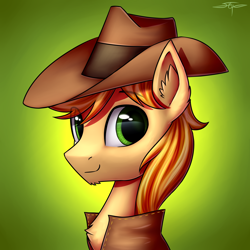 Size: 3000x3000 | Tagged: safe, artist:setharu, character:braeburn, species:earth pony, species:pony, bust, clothing, cowboy hat, gradient background, hat, looking at you, looking back, male, signature, smiling, solo, stallion, stetson, vest