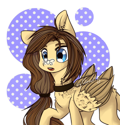 Size: 1024x1068 | Tagged: safe, artist:cloud-fly, oc, oc only, oc:steffanie, species:pegasus, species:pony, collar, female, fly, mare, solo