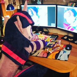 Size: 2048x2048 | Tagged: safe, artist:epicrainbowcrafts, character:twilight sparkle, candy, clothing, computer, food, irl, photo, plushie, socks, striped socks, sweets