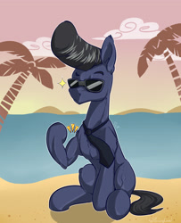 Size: 3000x3700 | Tagged: safe, artist:passigcamel, oc, oc only, species:pony, beach, male, muscles, pompadour, sitting, solo, stallion, sunglasses
