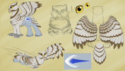 Size: 1279x734 | Tagged: safe, artist:mythpony, oc, species:hippogriff, species:owl, reference sheet, solo