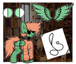 Size: 4603x3867 | Tagged: safe, artist:umiimou, oc, oc:zane, species:pegasus, species:pony, book, bookshelf, chibi, clothing, high res, male, reference sheet, solo, stallion, sweater