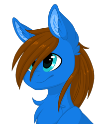 Size: 876x1000 | Tagged: safe, artist:melodytheartpony, oc, oc only, oc:flying ace, bust, chest fluff, cute, ear fluff, fluffy, male, portrait, simple background, transparent background