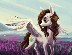 Size: 1140x872 | Tagged: safe, artist:weird--fish, oc, oc only, species:pegasus, species:pony, beautiful, female, lavender, lavender field, mare, mouth hold, purple flowers, scenery, scenery porn, solo