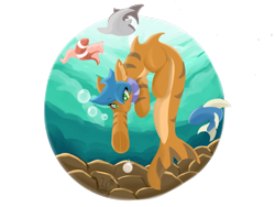 Size: 1024x768 | Tagged: safe, artist:aurorafang, oc, oc only, oc:pearl, species:pony, diving, female, fishes, lineless, mare, original species, painting, pearl, rebreather, shark, shark pony, simple background, solo, tiger shark pony, transparent background, underwater