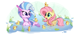 Size: 4000x1744 | Tagged: safe, alternate version, artist:pirill, character:fluttershy, character:silverstream, species:duck, species:pegasus, species:pony, species:seapony (g4), episode:school daze, g4, my little pony: friendship is magic, abstract background, chest fluff, cute, diastreamies, duck pony, duckling, female, fluffy, flutterduck, hoof hold, jewelry, lidded eyes, looking at something, looking down, mare, necklace, open mouth, shyabetes, simple background, smiling, swimming, white background