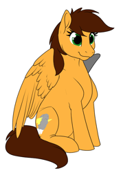 Size: 462x656 | Tagged: safe, artist:mythpony, oc, oc:arrow storm, species:pegasus, species:pony, female, mare, simple background, sitting, solo, white background