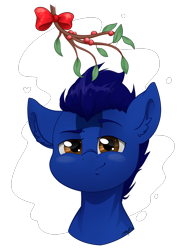 Size: 1484x2000 | Tagged: safe, artist:midnightpremiere, oc, oc only, oc:deevfactor, species:pony, holly, holly mistaken for mistletoe, simple background, solo, transparent background