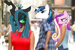 Size: 1024x683 | Tagged: safe, artist:brandonale, edit, character:princess cadance, character:queen chrysalis, character:shining armor, ship:shining chrysalis, ship:shiningcadance, distracted boyfriend meme, female, infidelity, male, shipping, straight