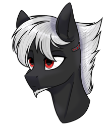 Size: 928x1065 | Tagged: safe, artist:cloud-fly, oc, species:pony, bust, facial hair, goatee, male, portrait, simple background, solo, stallion, transparent background