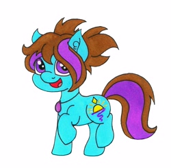 Size: 3899x3819 | Tagged: safe, artist:dawn-designs-art, oc, oc only, oc:dawn, species:earth pony, species:pony, blue coat, brown mane, female, filly, jewelry, necklace, purple eyes, solo, traditional art