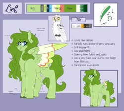 Size: 3000x2700 | Tagged: safe, artist:liefsong, oc, oc:lief, species:owl, species:pegasus, species:pony, cute, feathered fetlocks, omnivore, reference sheet, snowy owl, tail feathers, unshorn fetlocks