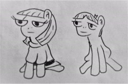 Size: 2048x1350 | Tagged: safe, artist:dex stewart, character:maud pie, character:mudbriar, species:earth pony, species:pony, ship:maudbriar, female, lineart, male, shipping, straight, traditional art