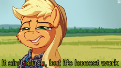 Size: 3840x2160 | Tagged: safe, artist:pirill, character:applejack, character:derpy hooves, species:pony, caption, cheek fluff, clothing, female, field, fluffy, hat, meme, plaid, ponified meme, solo, squint, text, when you see it