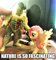 Size: 500x531 | Tagged: safe, artist:dex stewart, character:fluttershy, species:pony, bandai, captioned, exploitable meme, female, invenusable flytrap, irl, meme, mighty morphin power rangers, nature is so fascinating, obligatory pony, photo, power rangers, toy