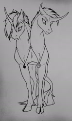 Size: 1138x1920 | Tagged: safe, artist:dementra369, oc, oc only, species:pony, species:unicorn, brothers, cloven hooves, conjoined, conjoined twins, jewelry, leonine tail, male, multiple heads, pendant, siblings, stallion, standing, two heads, yin-yang