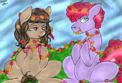 Size: 1130x767 | Tagged: safe, artist:colorlesscupcake, oc, oc:daydream, species:pony, female, flower, grass, horses doing horse things, male, sitting, straight