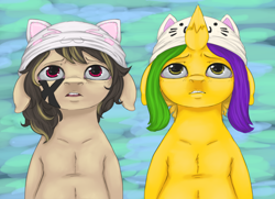 Size: 964x698 | Tagged: safe, artist:colorlesscupcake, oc, oc only, oc:daydream, oc:honeysweet, species:earth pony, species:pony, species:unicorn, clothing, hat