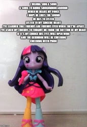 Size: 500x733 | Tagged: safe, artist:dex stewart, character:twilight sparkle, species:human, my little pony:equestria girls, digimon, doll, equestria girls minis, female, mimi, mimi's song, photo, solo, song, song reference, toy