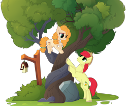 Size: 3190x2655 | Tagged: safe, artist:teepew, artist:xcinnamon-twistx, base used, character:bright mac, character:pear butter, species:earth pony, species:pony, ship:brightbutter, bird house, clothing, cute, female, fluffy hair, halo, hat, intertwined trees, male, rock, shipping, straight, tree