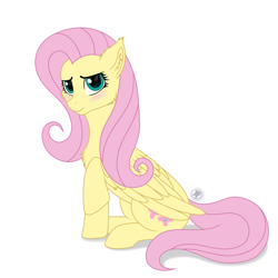 Size: 3000x3000 | Tagged: safe, artist:starshade, character:fluttershy, species:pegasus, species:pony, blushing, canon pony, cheek fluff, chest fluff, cute, cutie mark, ear fluff, female, full body, looking at you, mare, my little pony, raised hoof, shyabetes, simple background, sitting, smiling, solo, white background