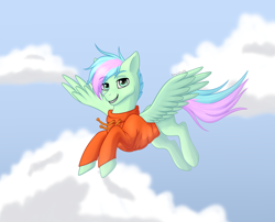 Size: 3500x2829 | Tagged: safe, artist:starshade, oc, oc only, oc:gusty breeze, species:pegasus, species:pony, clothing, commission, male, smiling, solo, ych result, your character here