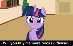 Size: 1920x1227 | Tagged: safe, artist:forgalorga, character:twilight sparkle, character:twilight sparkle (alicorn), species:alicorn, species:pony, :3, book, bookhorse, bookshelf, bronybait, caption, cs captions, cute, female, looking at you, mare, solo, that pony sure does love books, twiabetes, your little pets