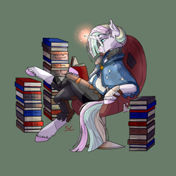 Size: 3000x3000 | Tagged: safe, artist:sourcherry, oc, unnamed oc, species:pony, species:unicorn, armor, book, clothing, glasses, horn glowing, scholar, solo