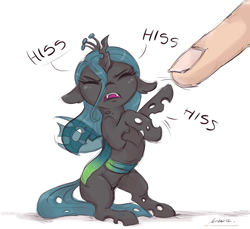 Size: 2400x2200 | Tagged: safe, artist:buttersprinkle, character:queen chrysalis, species:changeling, adorable distress, behaving like a cat, catling, changeling queen, cute, cutealis, eyes closed, female, finger, floppy ears, high res, hissing, offscreen character, offscreen human, simple background, tiny, tiny ponies, white background